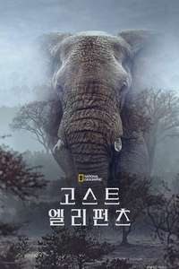 Ghost Elephants - Posters