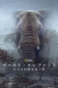 Ghost Elephants - Posters