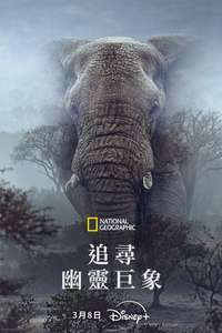 Ghost Elephants - Posters