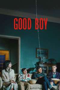 Good Boy - Posters