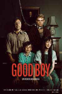 Good Boy - Posters
