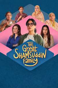 The Great Shamsuddin Family - Posters