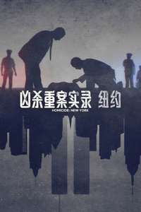 Homicide - Posters
