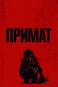 Primate - Posters
