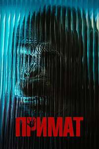 Primate - Posters