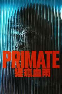 Primate - Posters