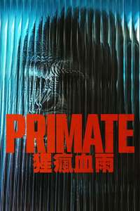 Primate - Posters