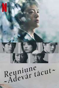 Silent Truth - Posters