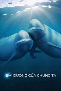 Our Oceans - Posters