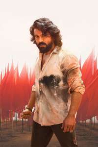 Peddi - Posters