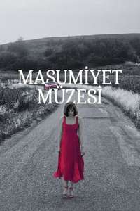 Museum of Innocence - Posters