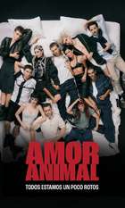 Amor Animal