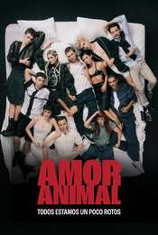 Amor Animal