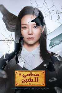 Phantom Lawyer - Posters