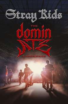 Stray Kids: The dominATE Experience