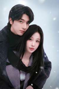 Ski into Love - Posters