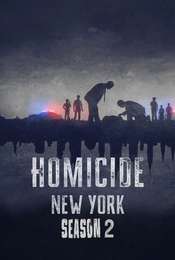 Homicide New York: Season 2