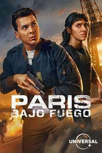 Paris Has Fallen - Posters