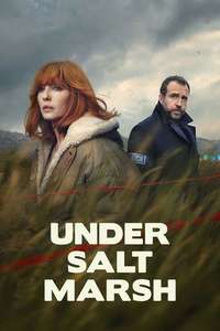 Under Salt Marsh - Posters