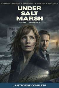 Under Salt Marsh - Posters
