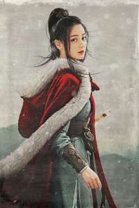 The Long Ballad - Posters
