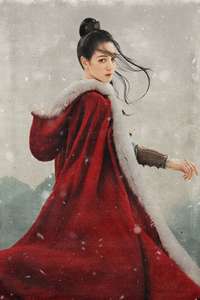 The Long Ballad - Posters