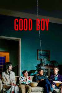 Good Boy - Posters