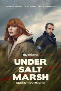 Under Salt Marsh - Posters