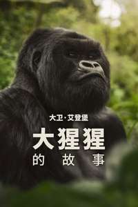 A Gorilla Story: Told by David Attenborough - Posters