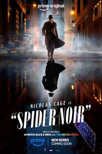 Spider-Noir - Posters