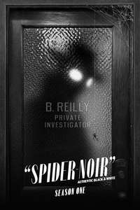 Spider-Noir - Posters