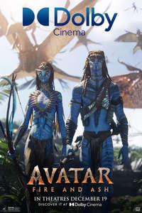 Avatar: Fire and Ash - Posters