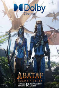 Avatar: Fire and Ash - Posters
