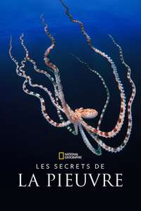 Secrets of the Octopus - Posters
