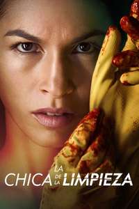 The Cleaning Lady - Posters