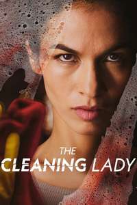 The Cleaning Lady - Posters