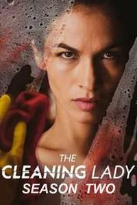 The Cleaning Lady - Posters