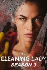 The Cleaning Lady - Posters