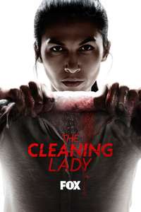 The Cleaning Lady - Posters
