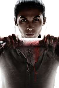 The Cleaning Lady - Posters