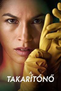 The Cleaning Lady - Posters