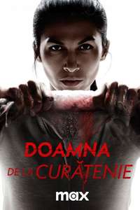 The Cleaning Lady - Posters