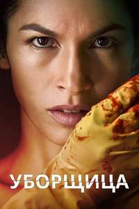 The Cleaning Lady - Posters