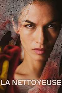 The Cleaning Lady - Posters