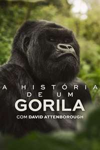 A Gorilla Story: Told by David Attenborough - Posters