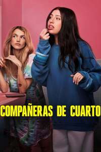 Roommates - Posters