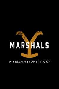 Y: Marshals - Posters
