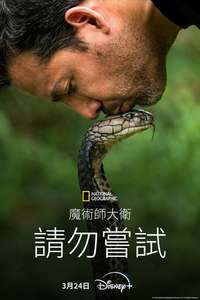David Blaine Do Not Attempt - Posters