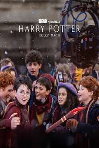 Finding Harry: The Craft Behind the Magic - Posters