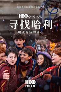 Finding Harry: The Craft Behind the Magic - Posters